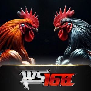 ws168 - adagaming168